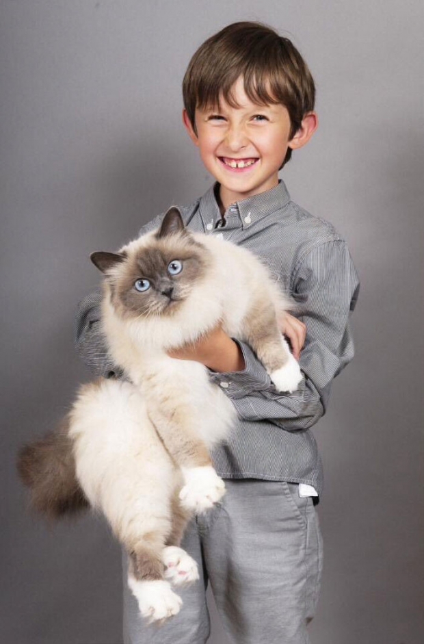 13- This cat who became a therapist for a boy with selective mutism