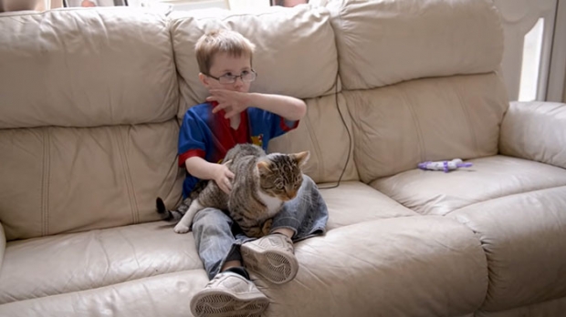 3- This cat who protected her 5-year-old owner from the bullies