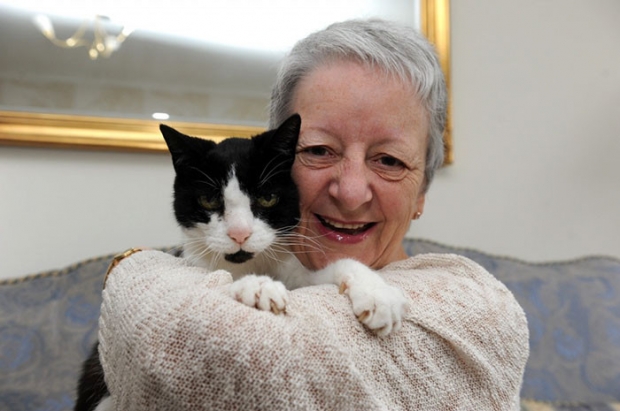 5- This senior cat who discovered his owner's cancer