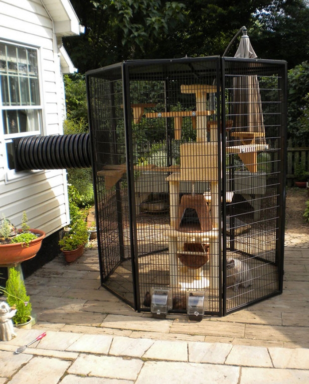23-You can have a customized catio for your beloved cat!