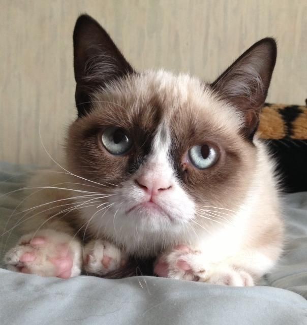 Unfortunately, Grumpy Cat died 7 years later.