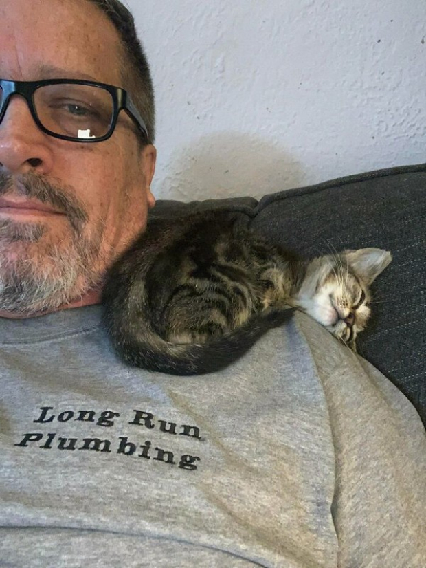 Your dad is not a ‘cat-person’ until he gets to spend time with an adorable cat such as this one
