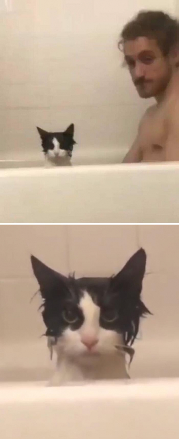 This cat surely didn’t expect to get wet when she got into the bathtub