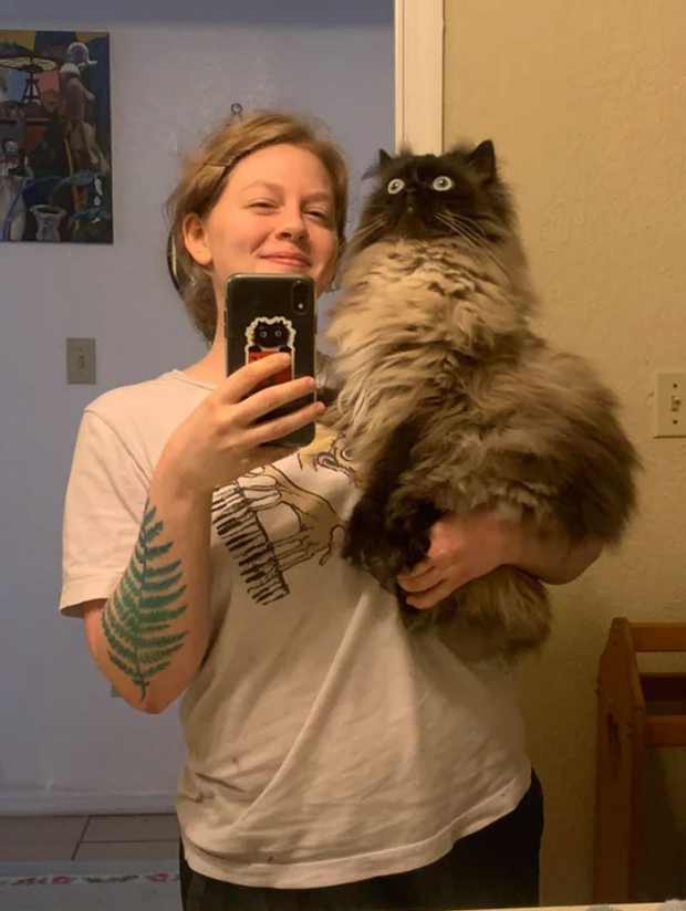 This cat doesn’t really seem like it’s fond of selfies, does it?