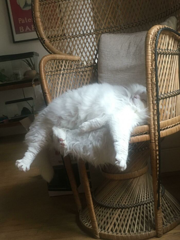 There are more comfortable ways to chill on that chair
